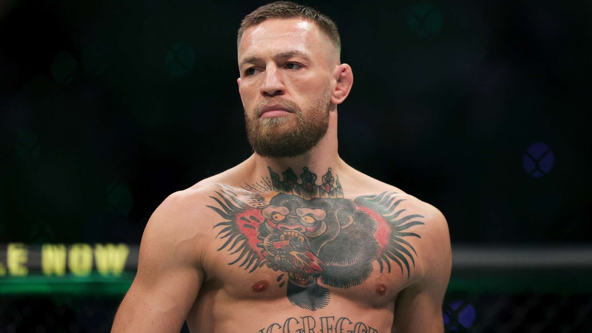 通常会针对 通常会针对