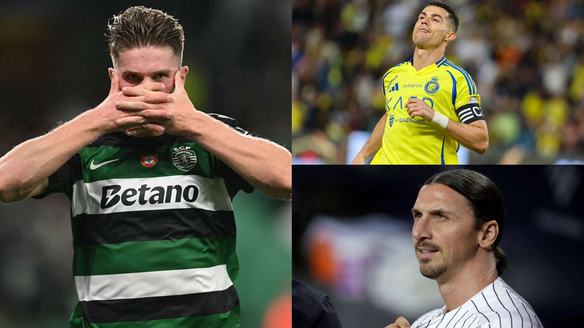 道和付费的 道和付费的